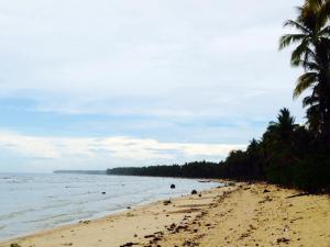 Beach strip nearby Kub sa Dahican Resort